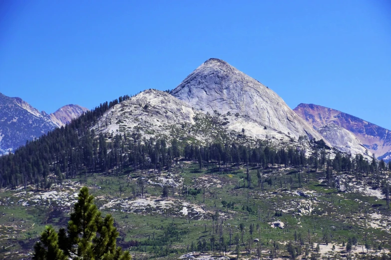 a snowy mountain with evergreen trees below it