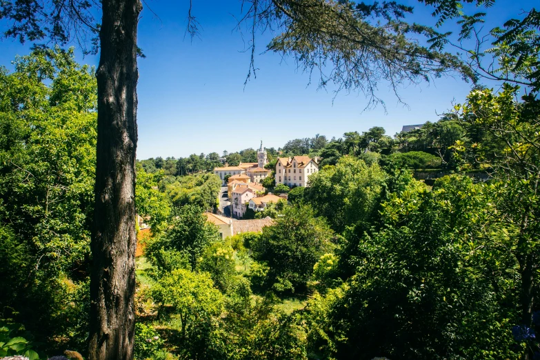 a large house surrounded by trees on the hill