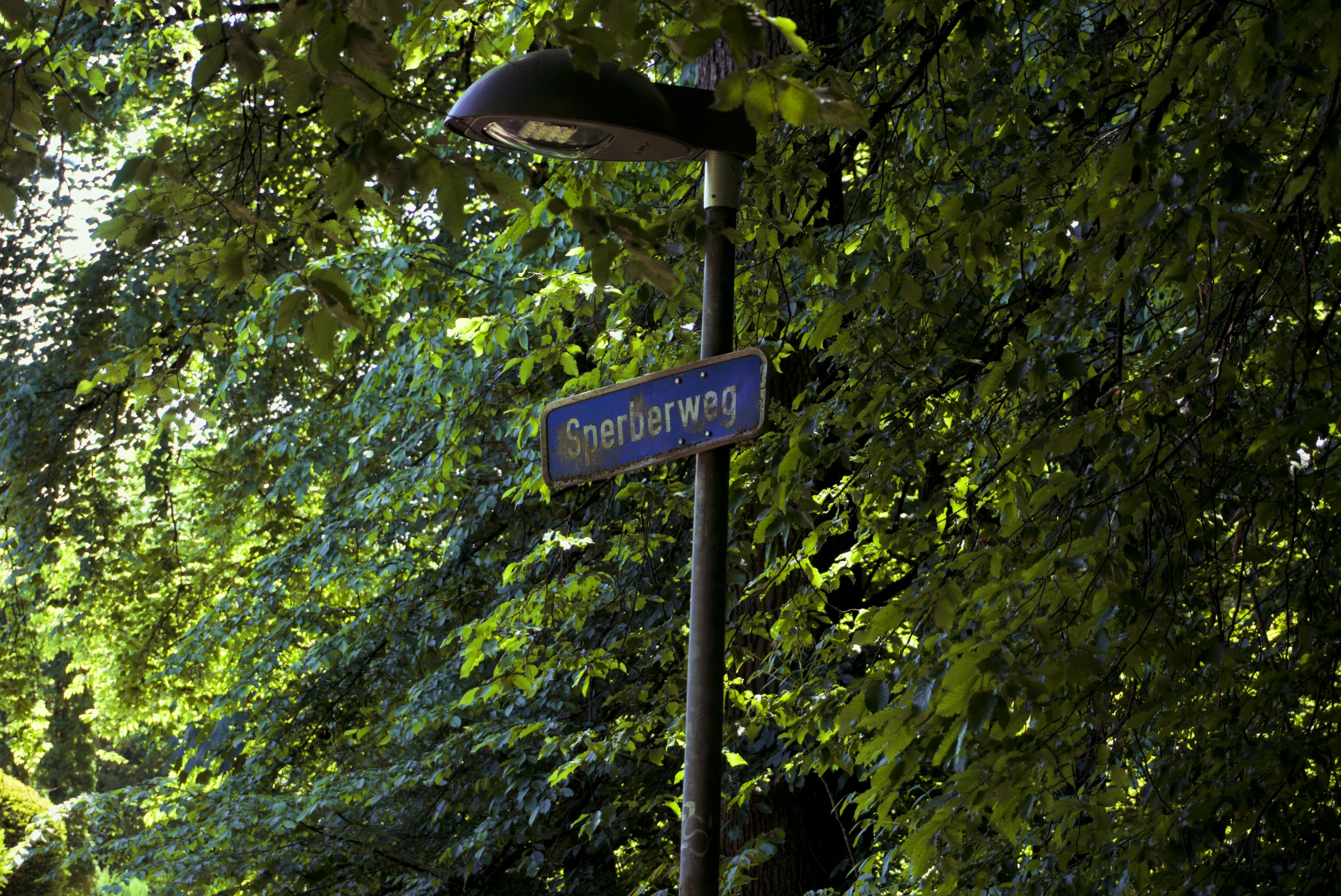 there are signs on the corner of this street