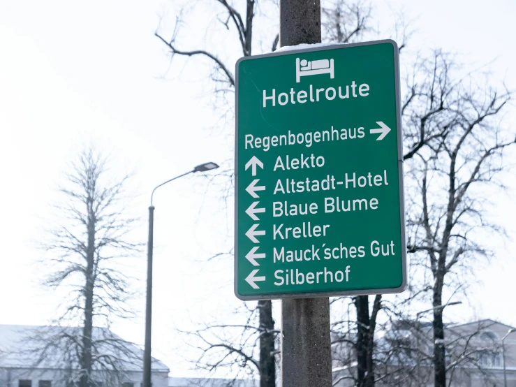 green street sign in european language on a pole