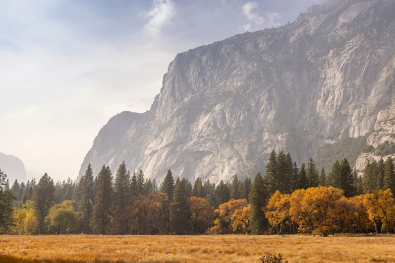 an open field near large mountains with lots of trees