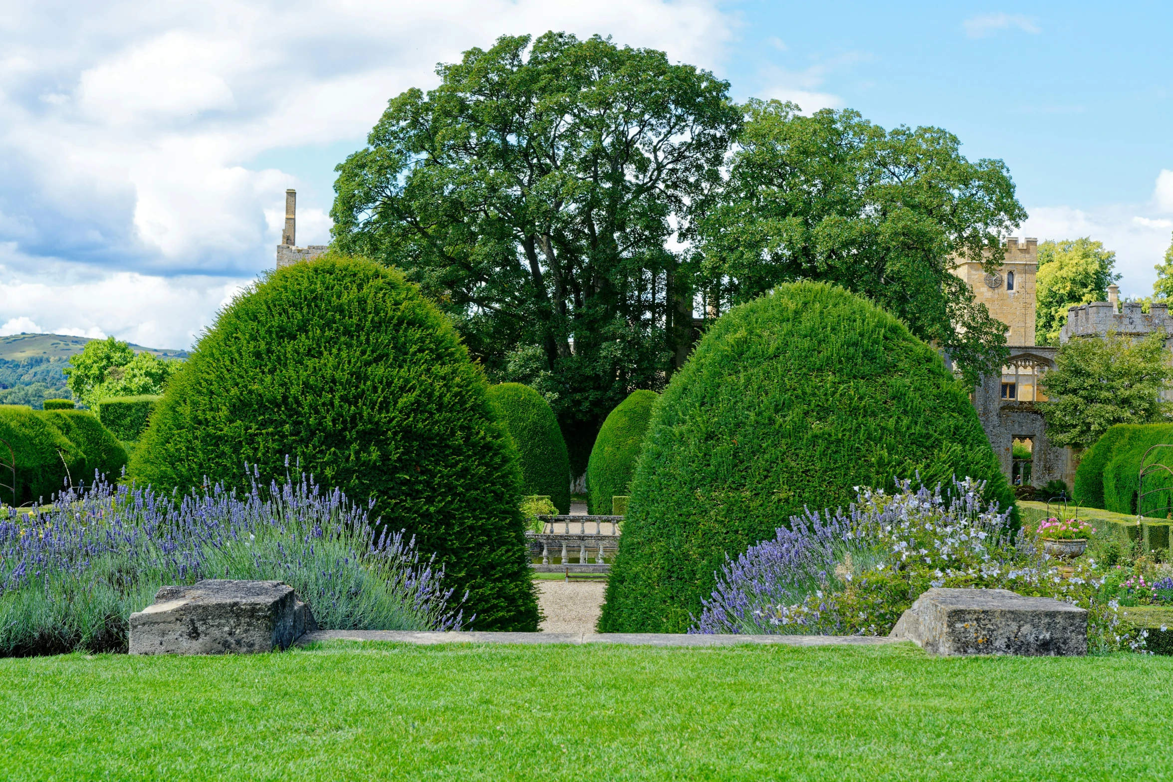 a lush green park surrounded by trees and lavender