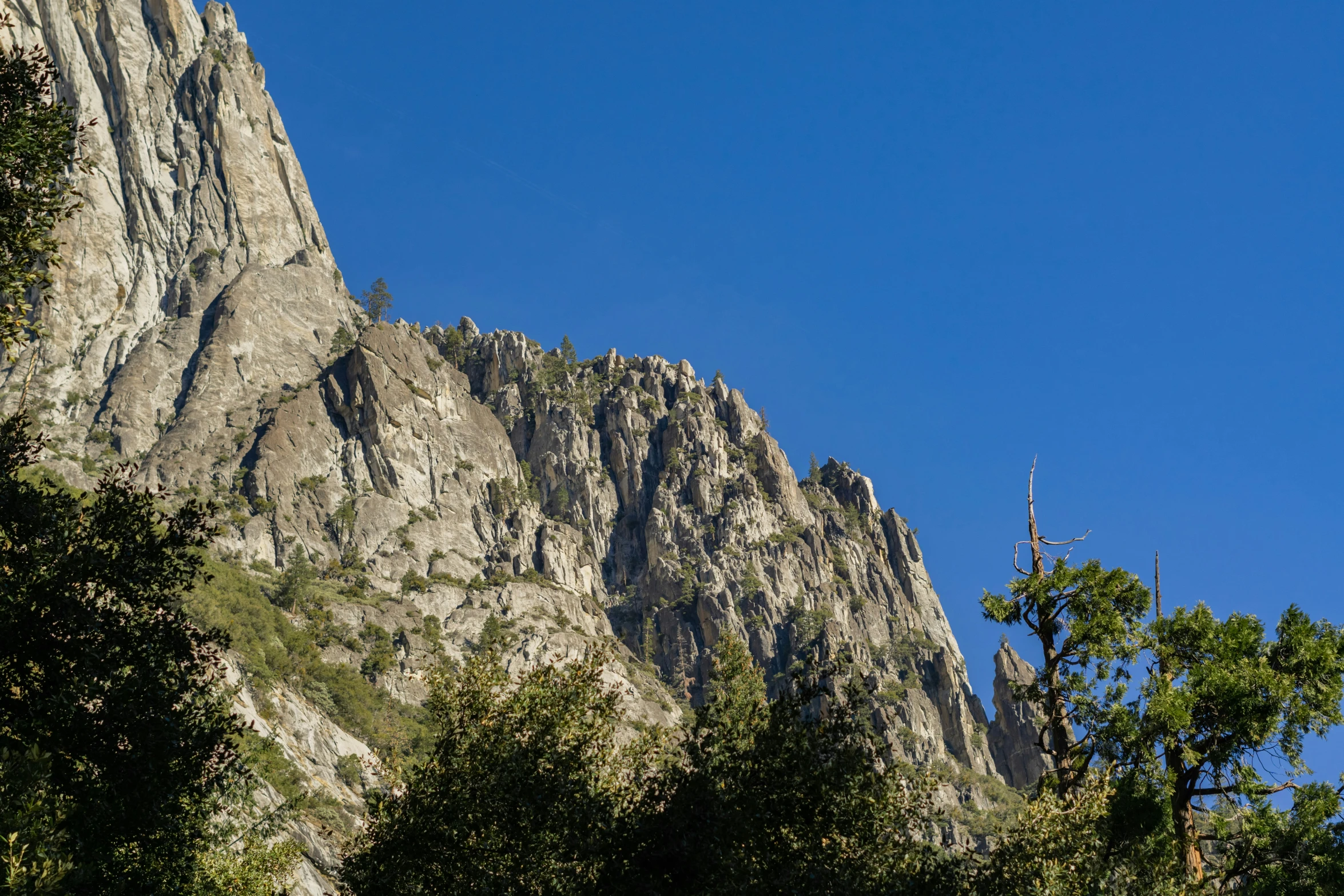 a tall rocky mountain towering above trees