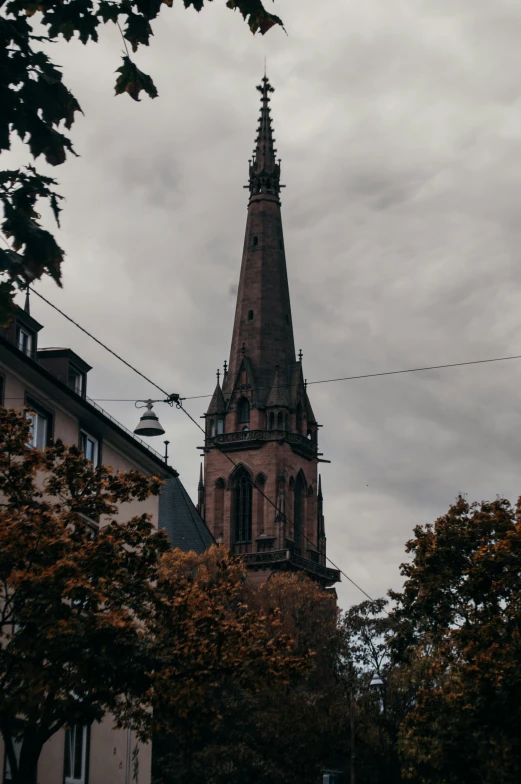 an old clock tower rises high above trees