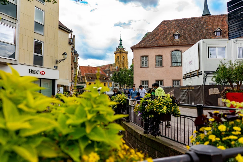 many flowers line a fence on a busy city street