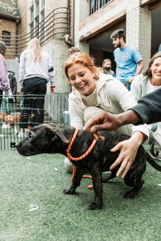 two people petting a small dog in a fenced area