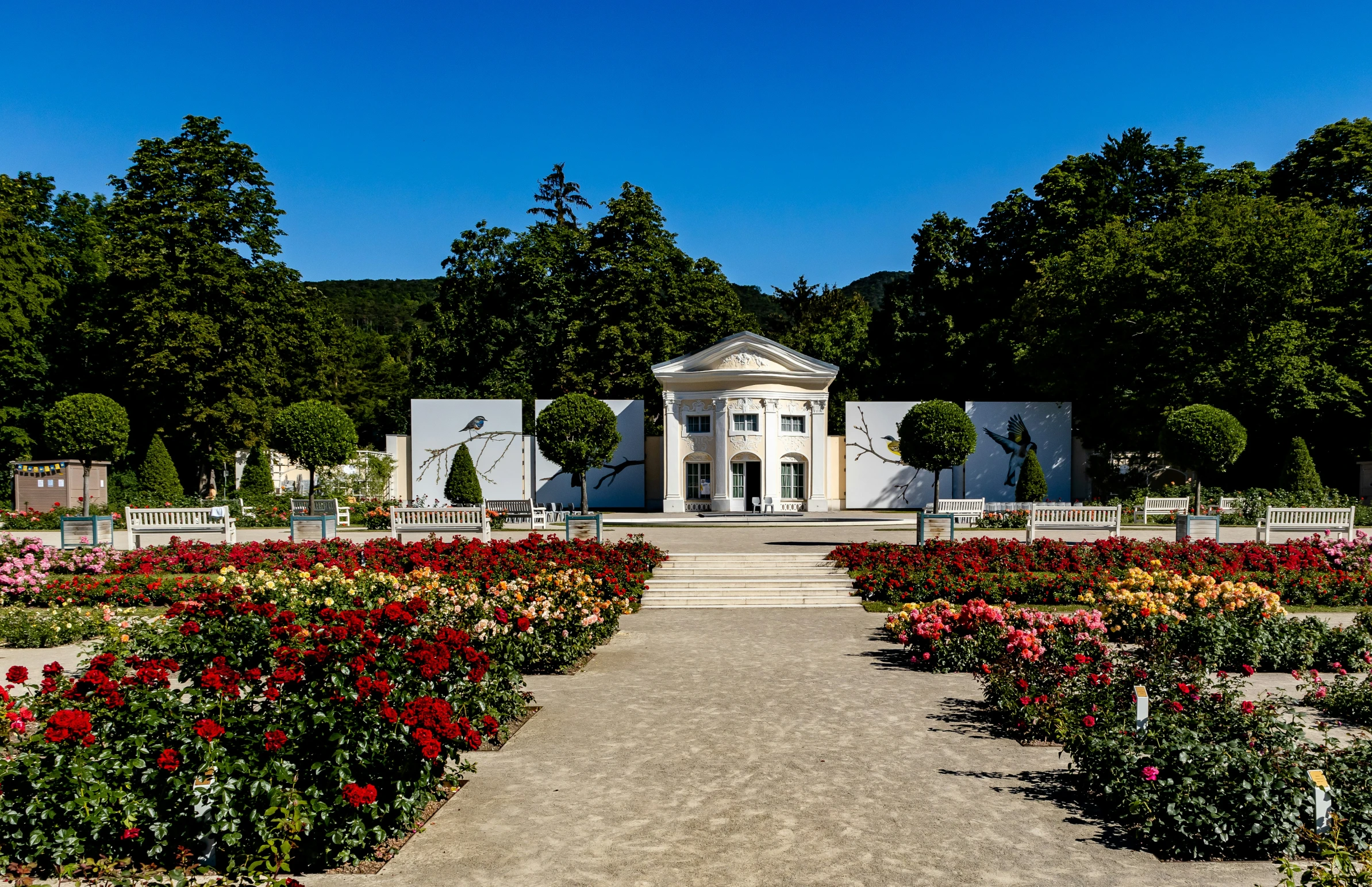 a walkway that has flowers and a gazebo in front of it