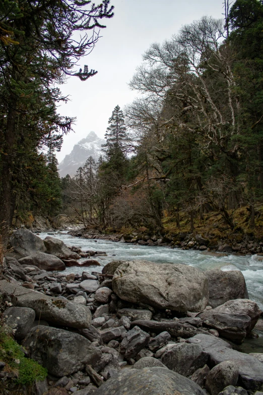 the rocky shore of a creek has several rocks