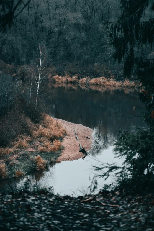 a small pond surrounded by woods and fog