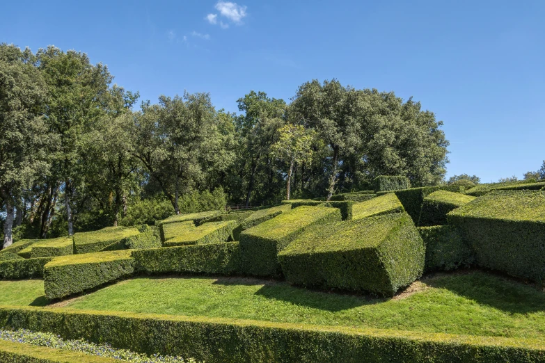 bushes that have been cut up into shapes