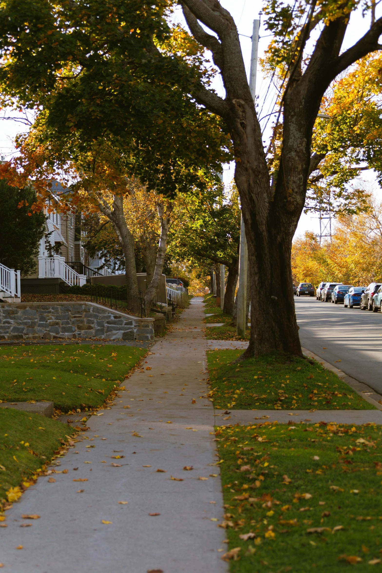 a narrow residential sidewalk lined with houses and trees