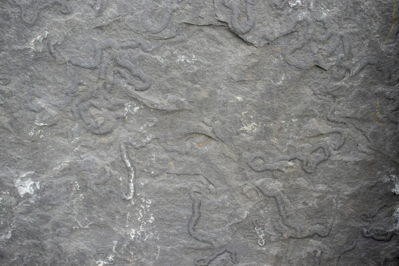 some gray rocks with a brown bear on top