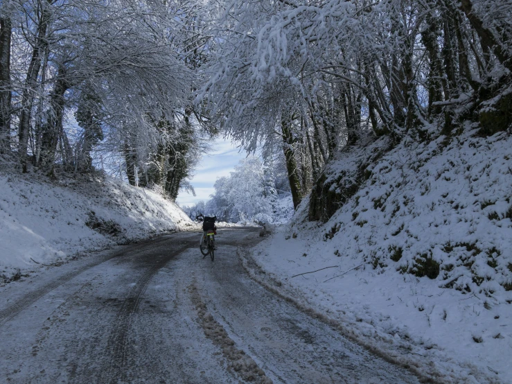 the person is traveling in the winter snow