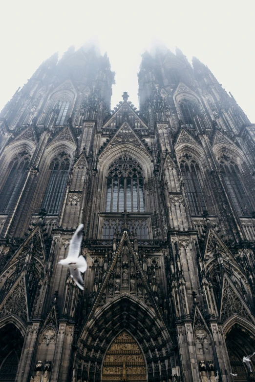 an intricate cathedral with white birds in front