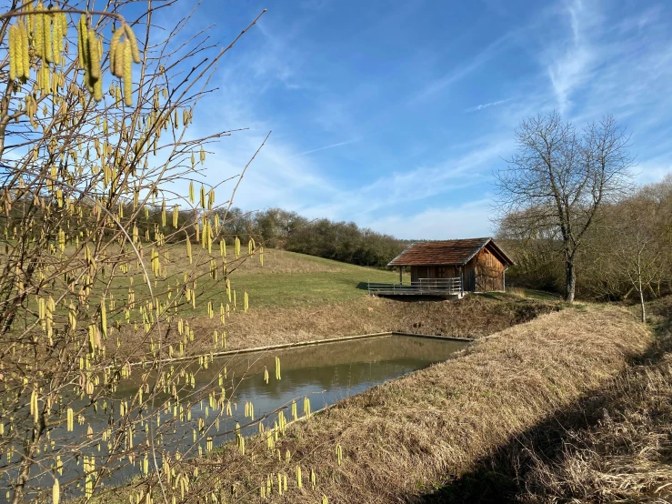 there is a house next to a river and some trees