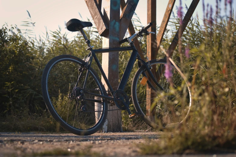 a blue bicycle is parked at a wooden pole