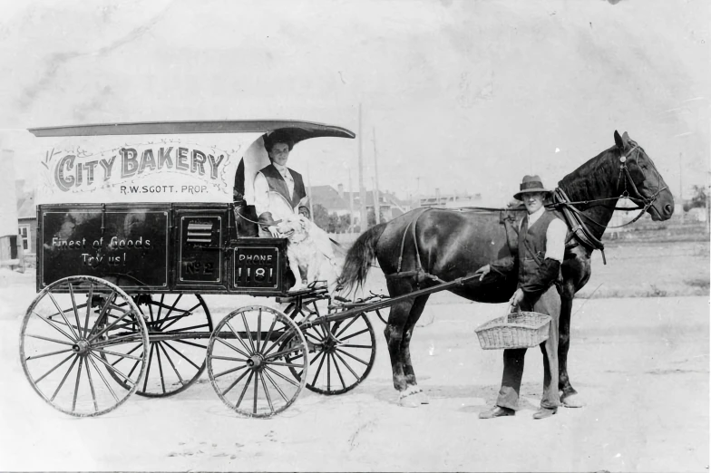 a man sitting on the back of a horse drawn carriage