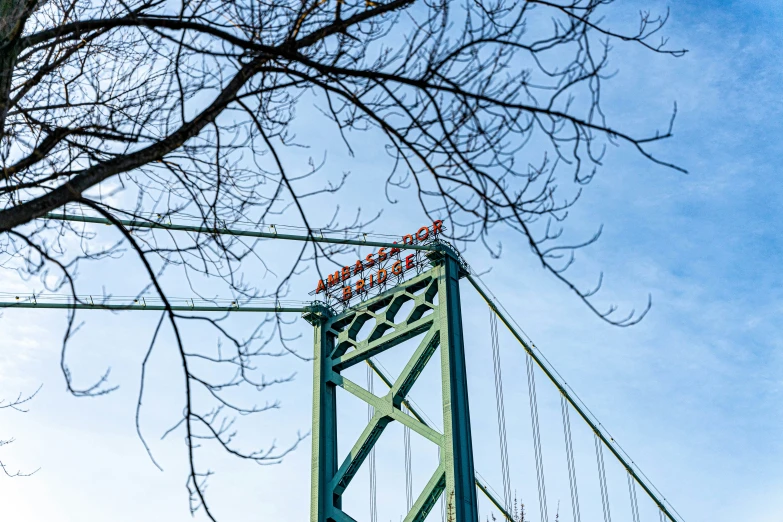 an old po of a tree near the top of a bridge