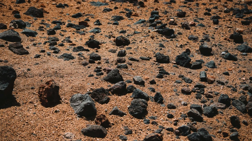 rocks and dirt with dark brown tones in the dirt