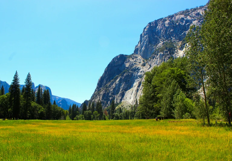 a grassy field with a tall mountain behind it