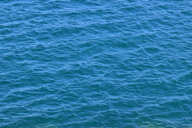 an orange buoy floating on top of a large body of water