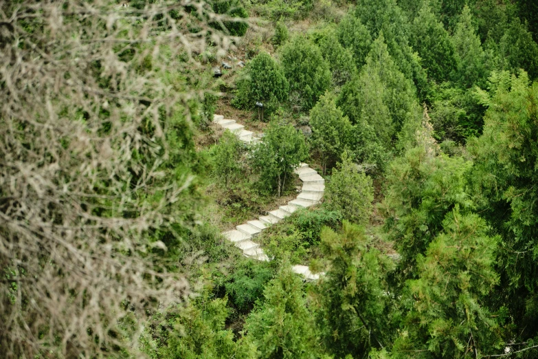 the view from the top of a hill showing trees, a path and a wooded area