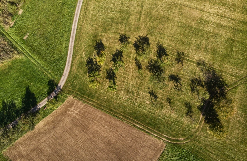 a large open field with trees and a road