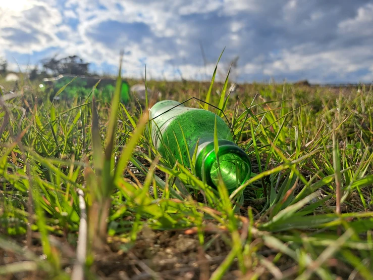 a green bottle in the middle of some grass