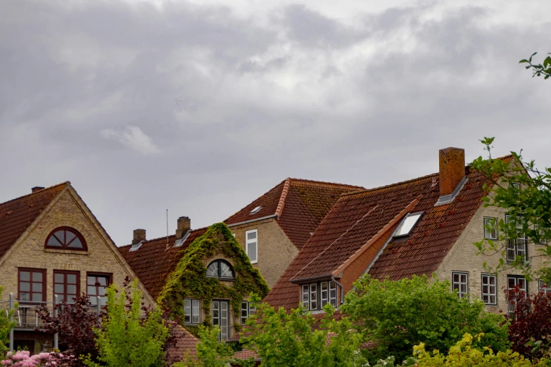 the house is brown and has a red roof