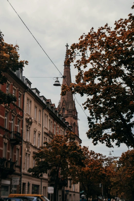 a street scene with some very tall buildings and a tree