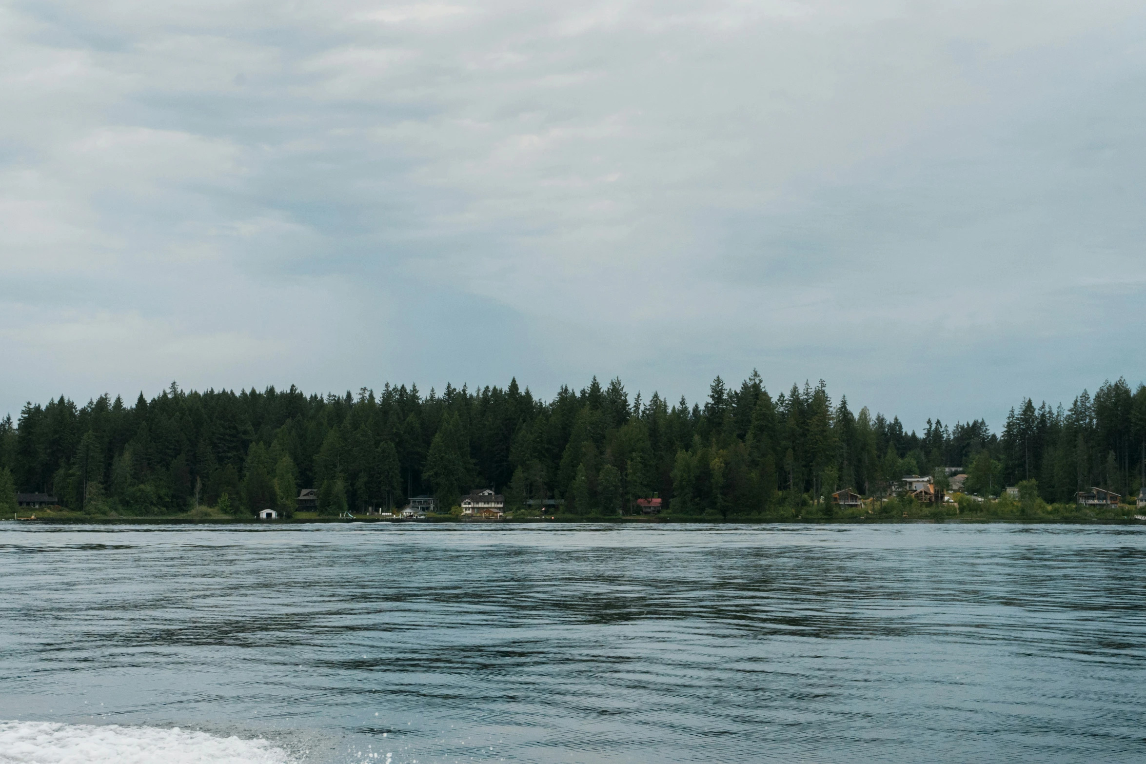 view from the ocean on a boat in front of trees