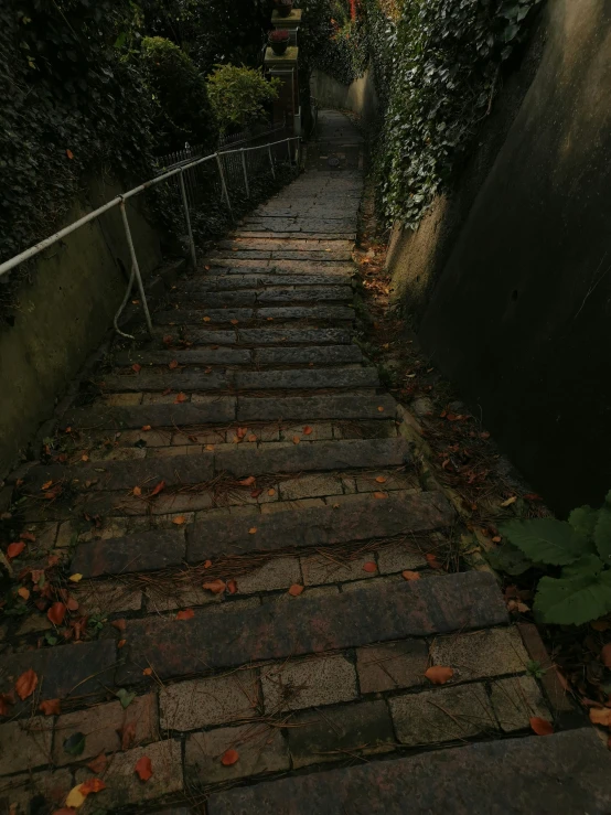 the stairs in the street are tiled with small bushes and leaves