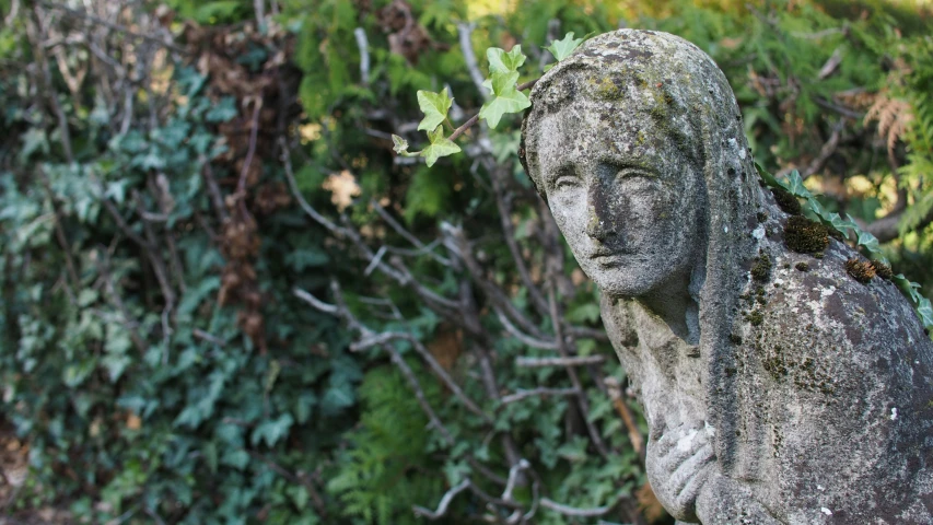 an old statue holding a tree has leaves on its head