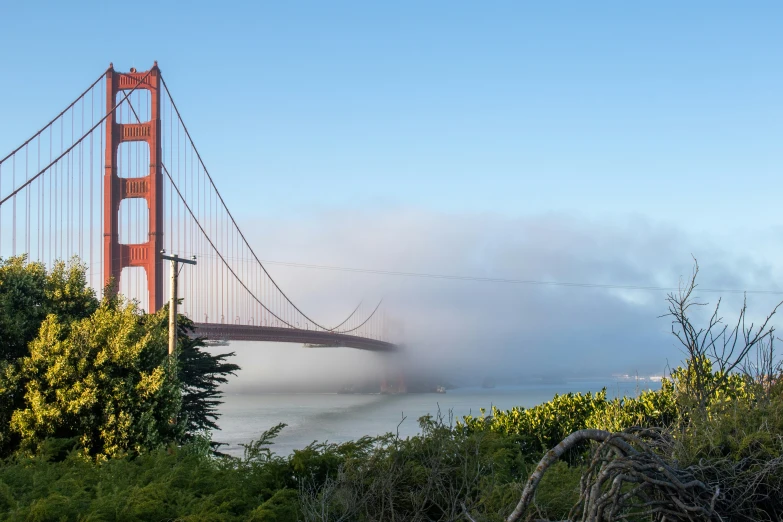 a view of the golden gate bridge in a misty day