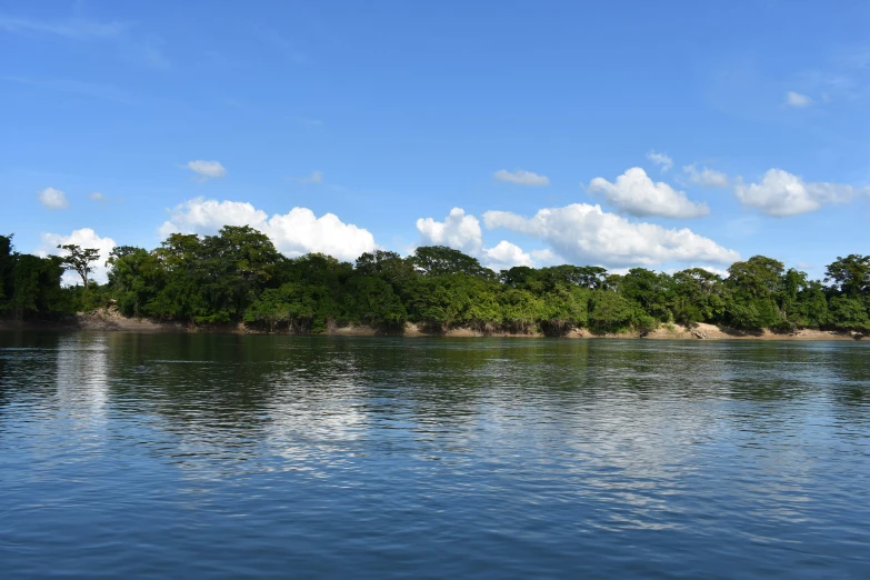 a blue body of water next to trees