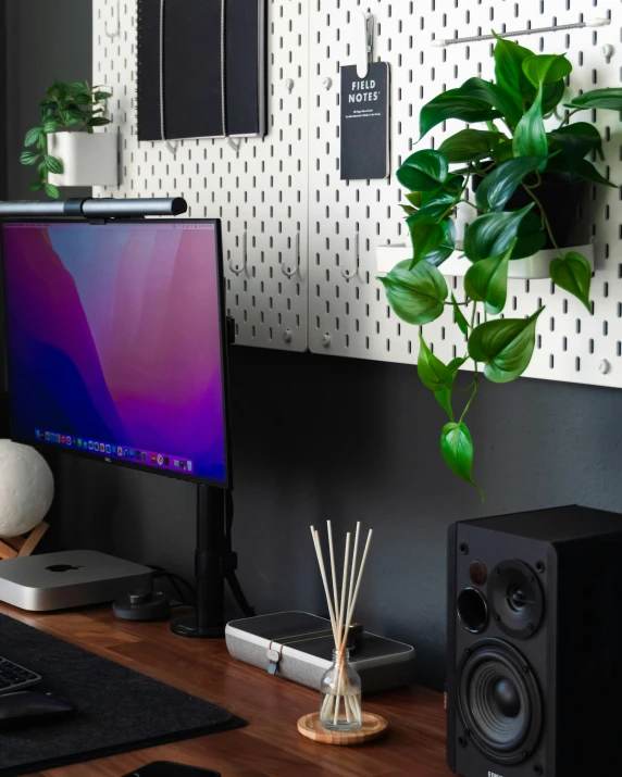 a black office with plants and laptops