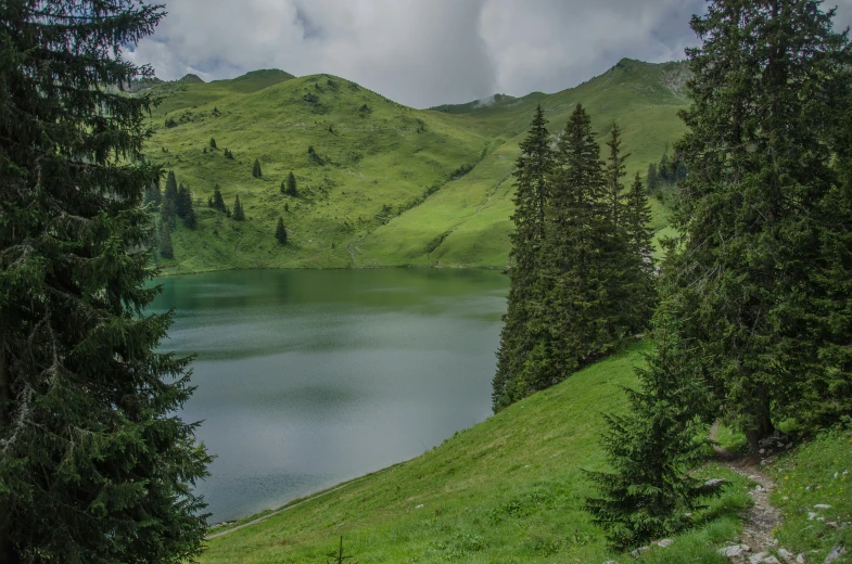 a lush green hillside next to a mountain lake