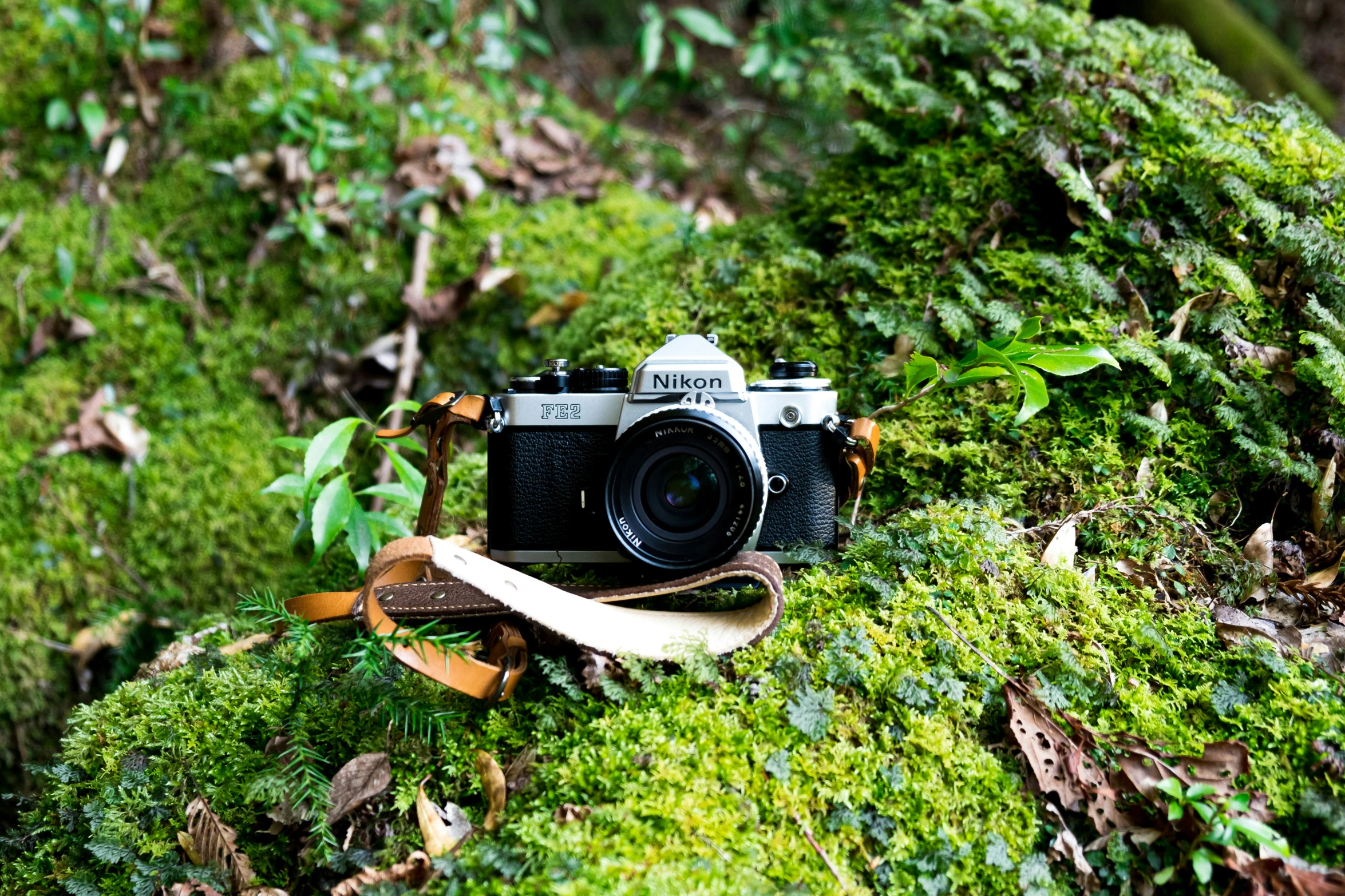 the camera is set on top of the green moss