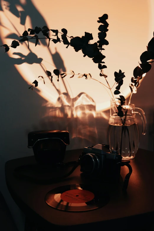 a vase with flowers next to a glass vase with flowers in it