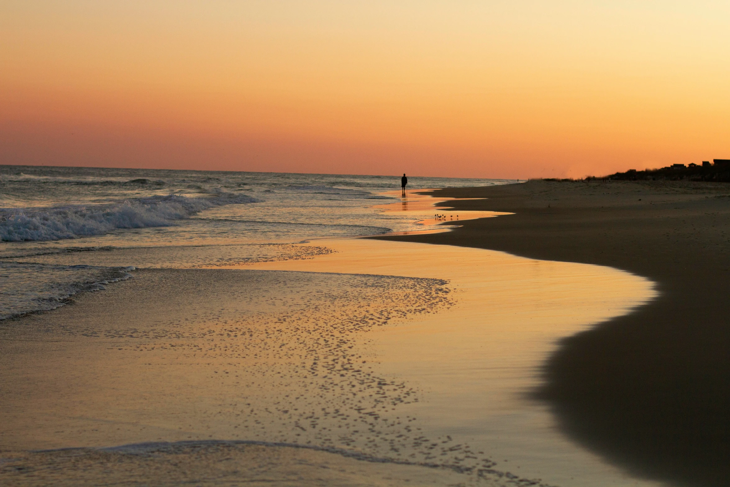 two people standing on the shore of a beach