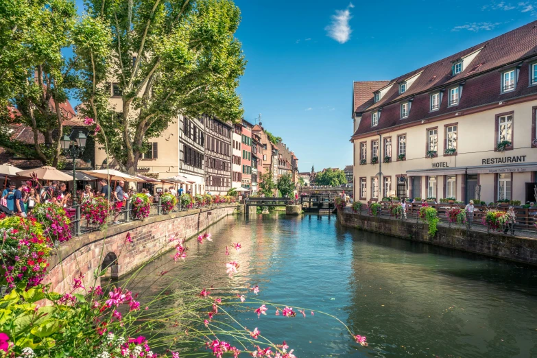 people enjoying a sunny day by a river with flowers