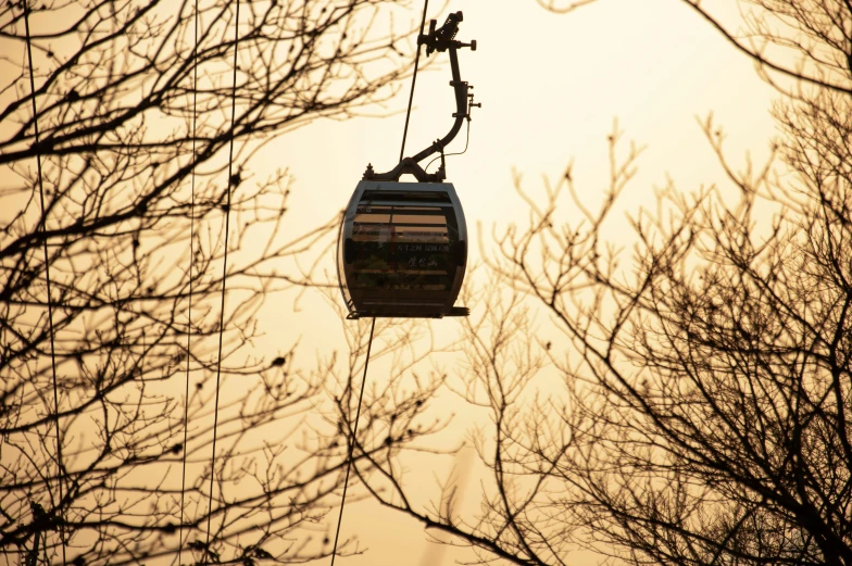 a cable car in the sky between two bare trees