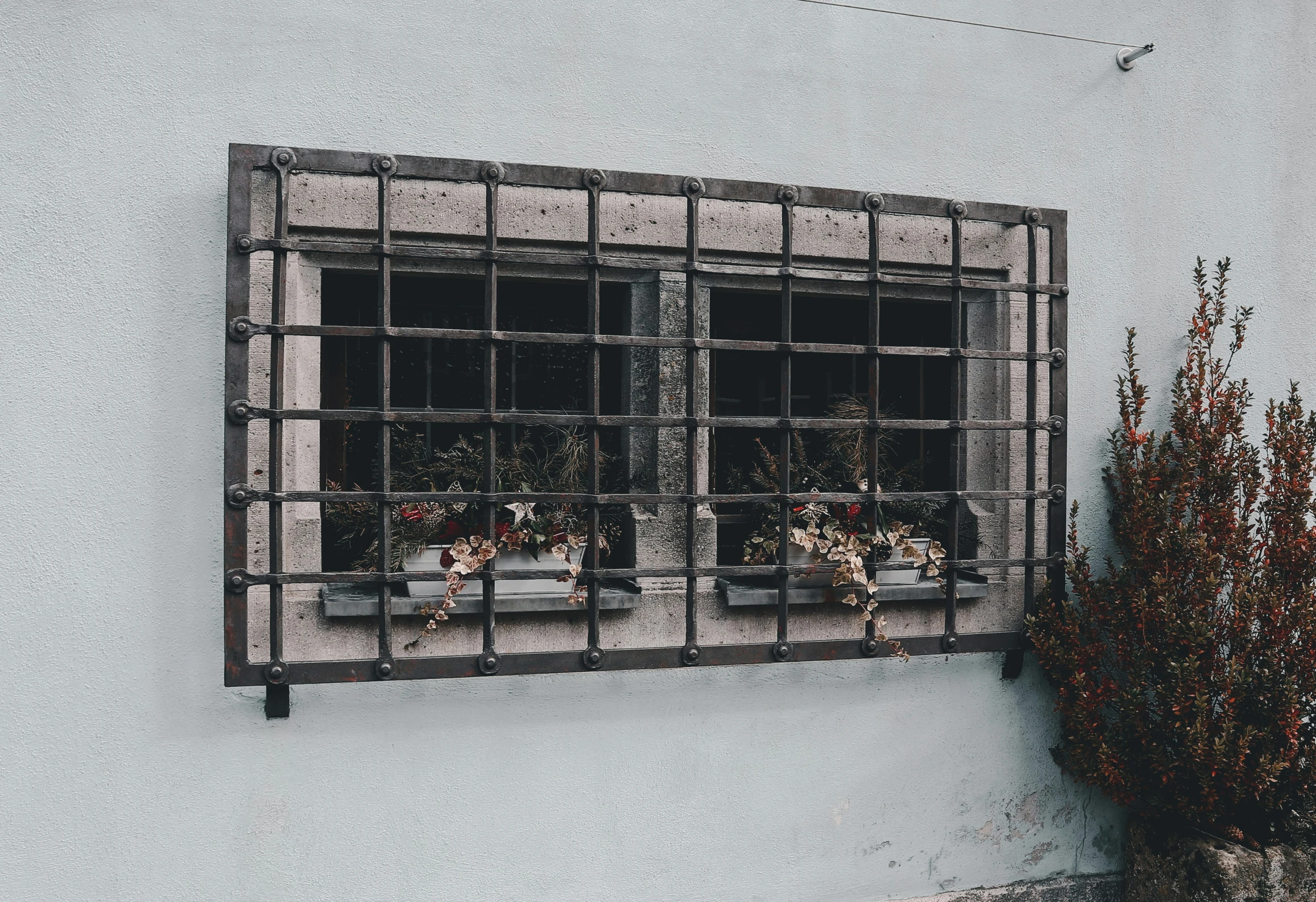 a couple of windows with some plants in them