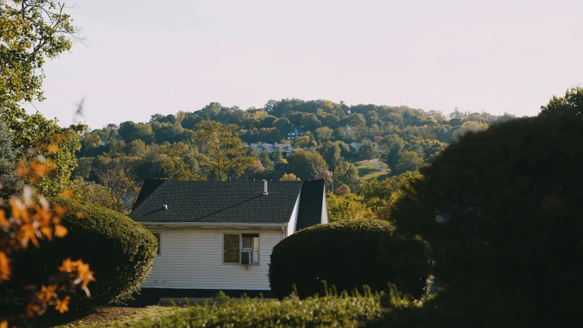 the house is located behind bushes with trees on it