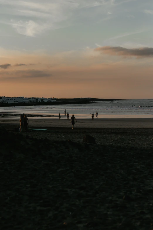 a couple of people stand on the beach