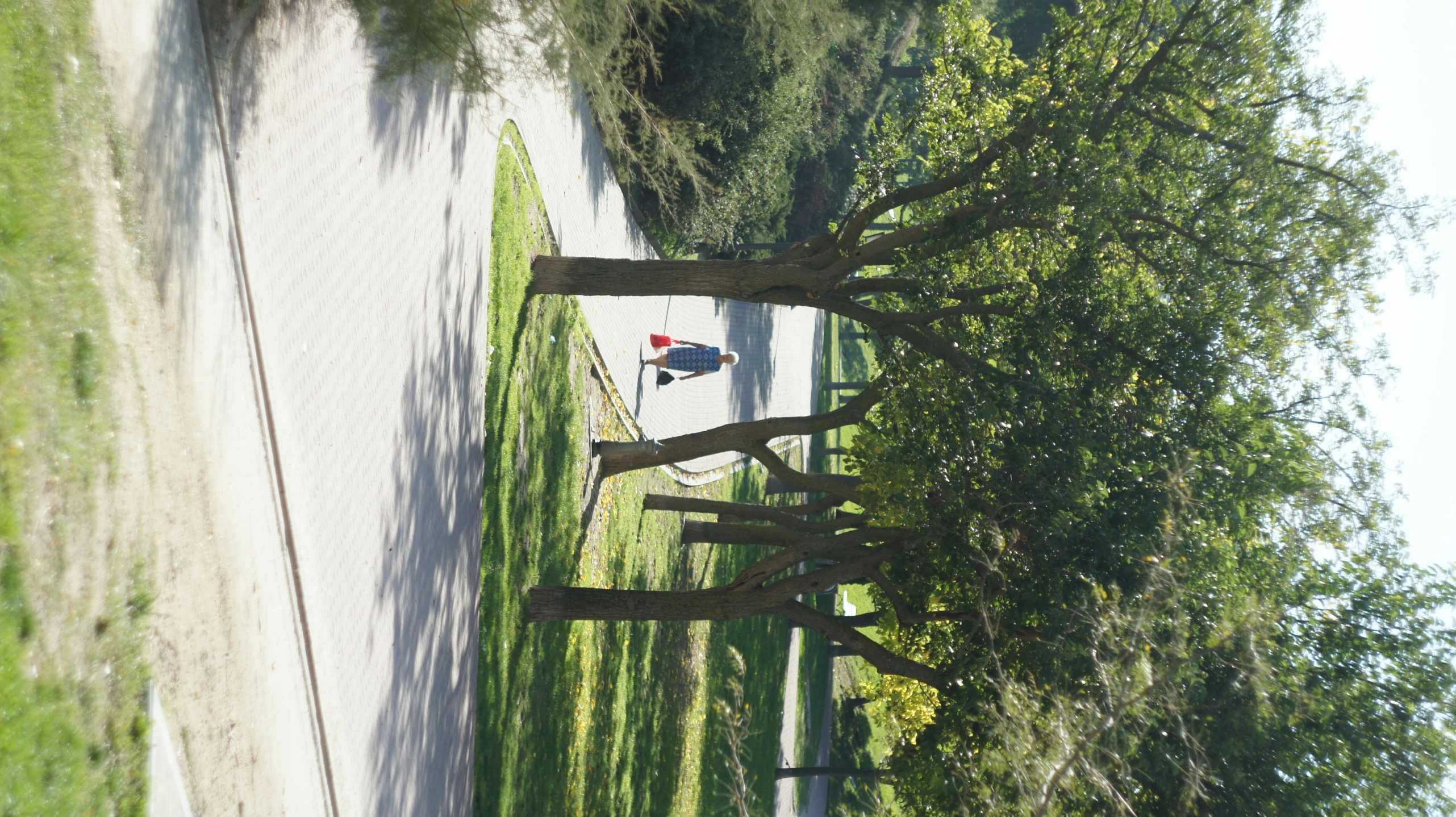 a man walking through a park in the shade