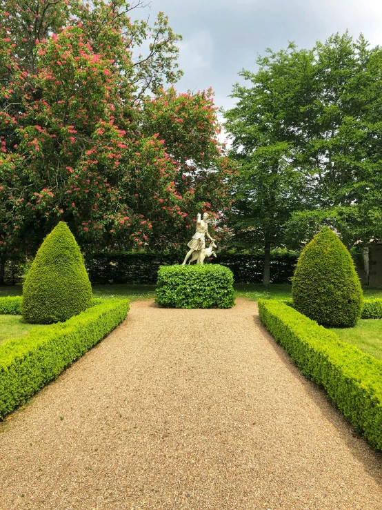 the path to the topiary is lined with neatly trimmed bushes