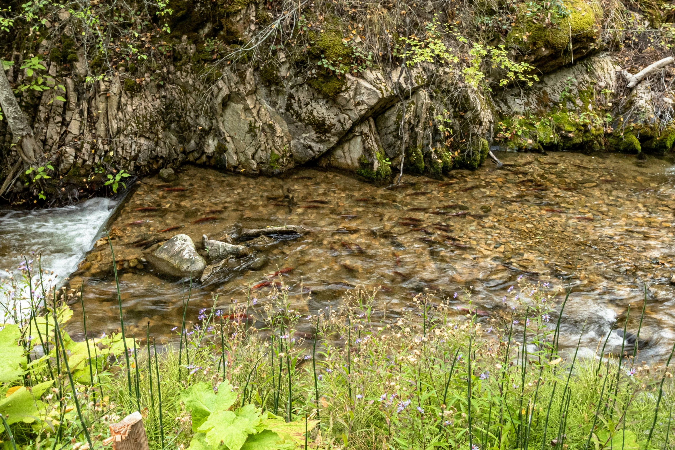 stream running between two large rock walls and a rocky shore