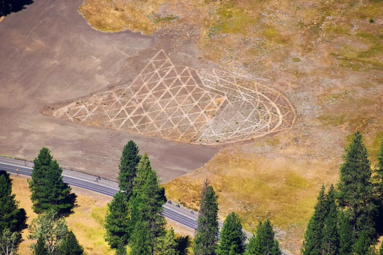 an aerial view of a tree carving made into the ground