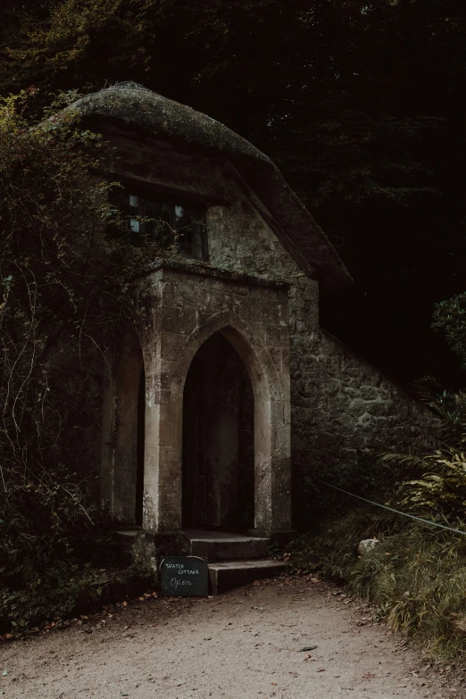 there is a old building in the middle of the forest